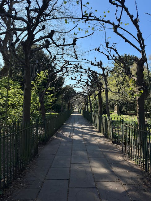 A straight, paved pathway in a garden framed by leafless, pruned trees with twisted branches arching overhead, creating a natural canopy. Metal railings run along both sides of the gravel pathway, which is lined with green hedges and various lush shrubs. Bright sunlight filters through the sparse branches, casting dappled shadows onto the ground. In the background, the pathway extends into the distance, lined with well-maintained garden beds and tall trees, reflecting careful garden maintenance and landscaping work typical of a suburban garden setting. The scene depicts an inviting space for strolling and outdoor enjoyment, with tidy lawn areas and a peaceful, well-kept environment. Natural textures of soil, leaves, and bark are visible alongside smooth paving stones, highlighting the meticulous care provided by Gardeners Clapham.