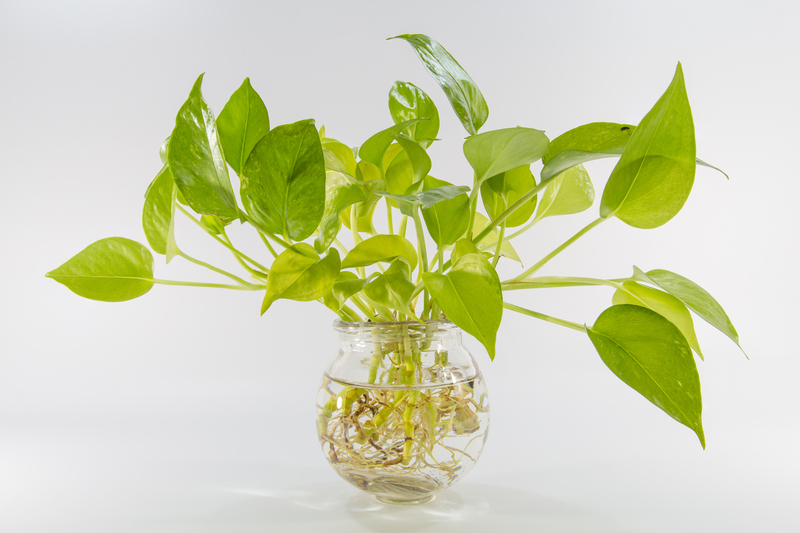 lawn care garden design