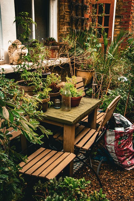 A cozy garden patio featuring a weathered wooden table surrounded by matching wooden chairs, situated against a brick wall with a window. The table is topped with potted plants, including leafy green and flowering varieties in ceramic and glass containers, creating a lush, vibrant atmosphere. Tall potted plants and shrubs flank the area, with some plants showing dried stems and leaves, indicating ongoing gardening or trimming activities. The ground is covered with small gravel and soil, with a gardening bag filled with cuttings or debris placed nearby. In the background, a wooden-framed door and window are partially visible, adding to the inviting outdoor space. The scene depicts a well-maintained garden area ready for garden maintenance or landscaping work, and it is naturally lit, emphasizing the textures of the foliage, rough brick wall, and wooden furniture. Gardeners Clapham's professional garden clearance service is evident through the tidy arrangement and healthy plant growth, illustrating effective outdoor care.