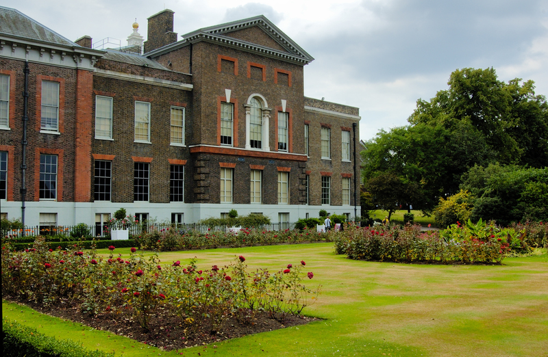 hedge trimming hedge cutting